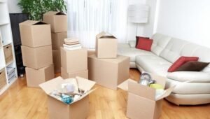 Packers and Movers Ameerpet