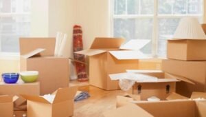 Packers and Movers Hafeezpet