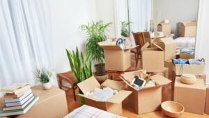 Packers and Movers Jubilee Hills