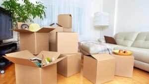 Packers and Movers Tolichowki